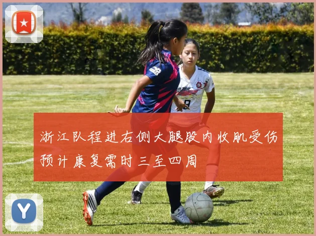 浙江队程进右侧大腿股内收肌受伤预计康复需时三至四周