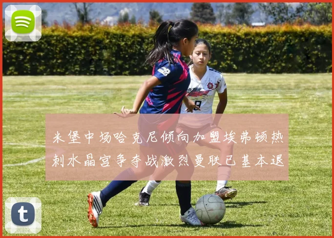 米堡中场哈克尼倾向加盟埃弗顿热刺水晶宫争夺战激烈曼联已基本退出竞争